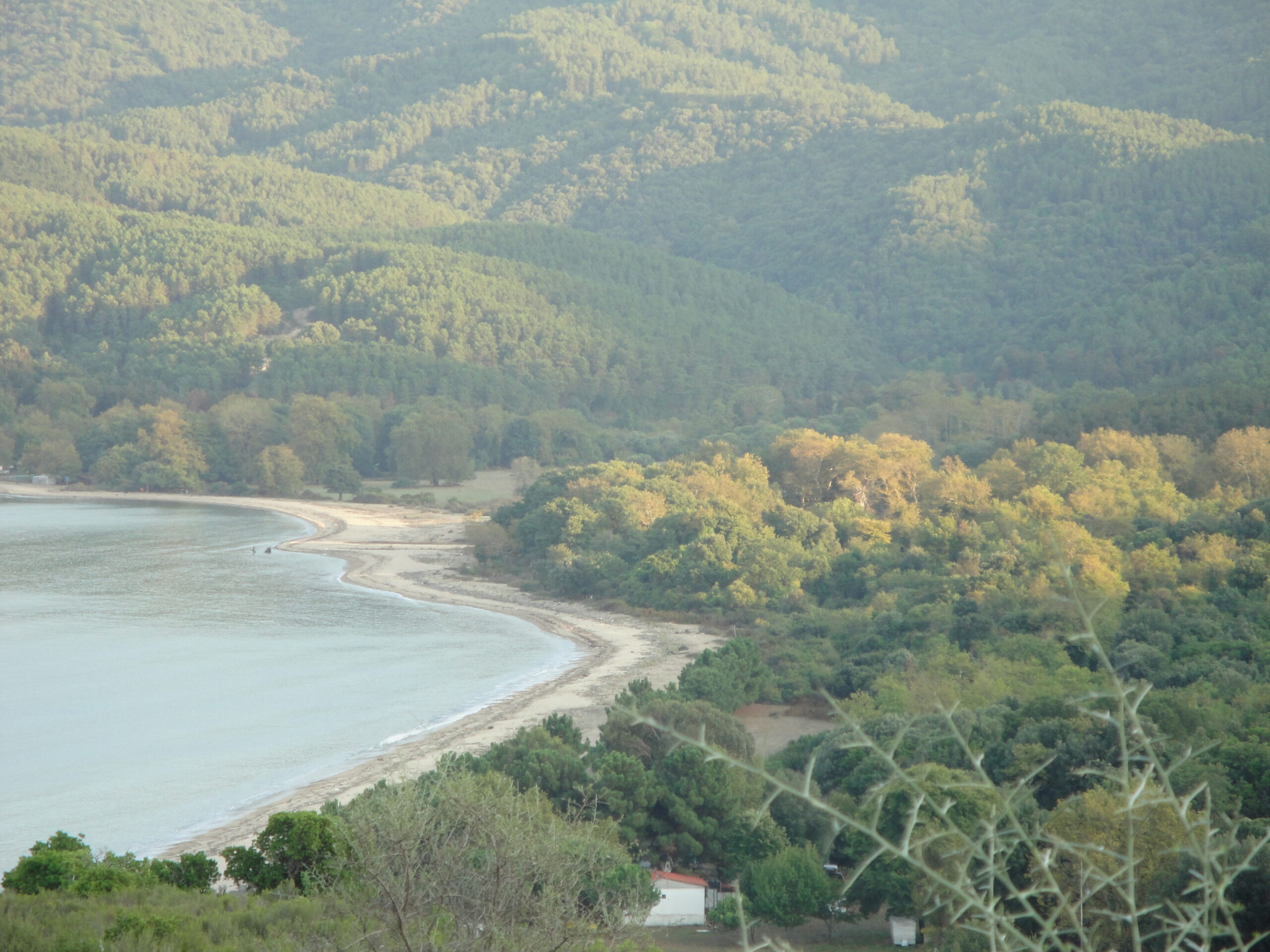 Home photo 01