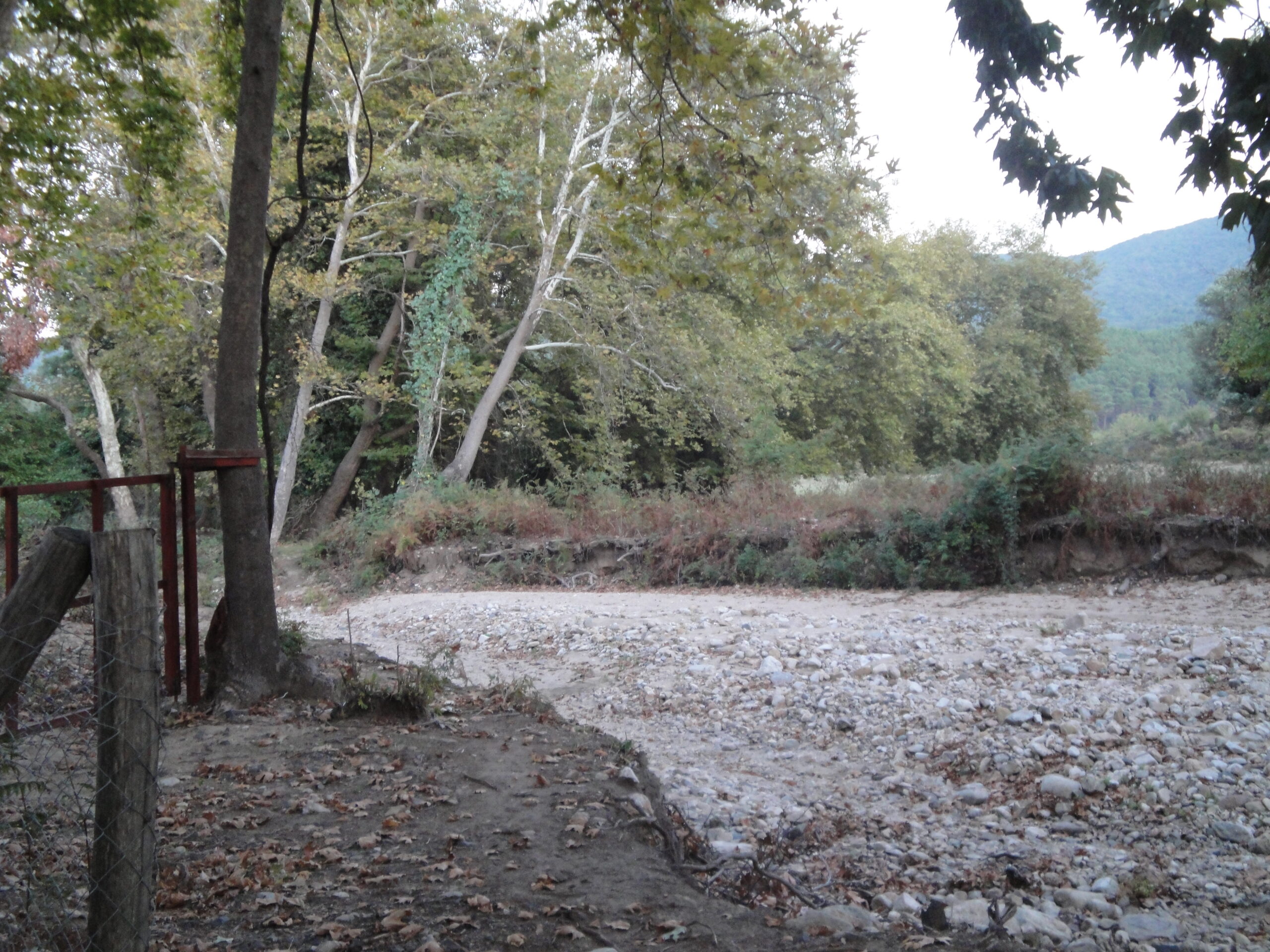 Home photo 06