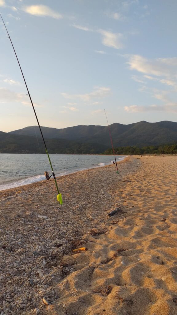 εικόνα viber 2026 07 09 17 37 49 217